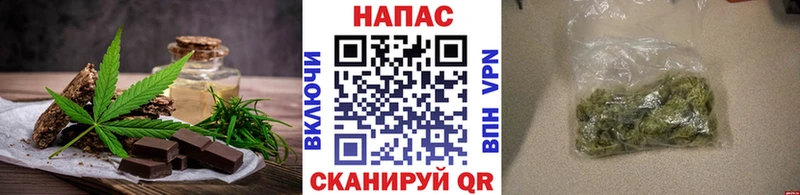 закладки  Электросталь  Cannafood конопля 