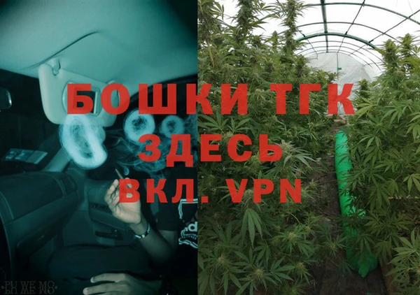 шишки Балабаново