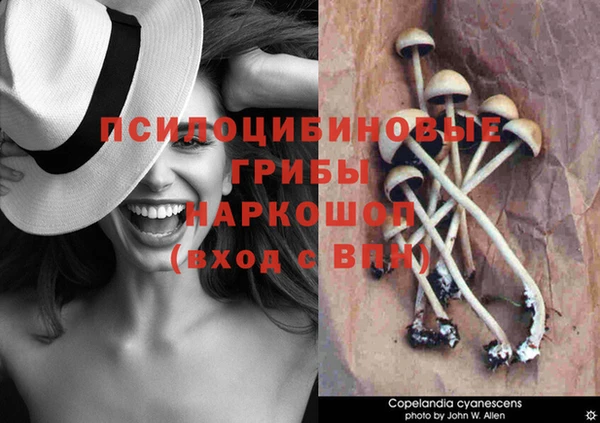 винт Балахна