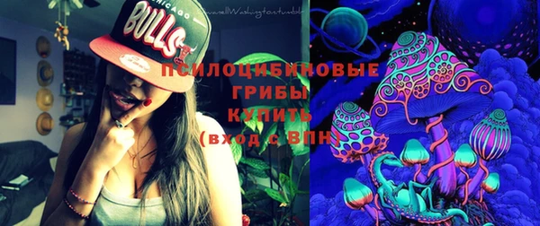 шишки Балабаново