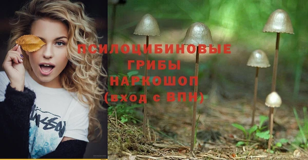 шишки Балабаново