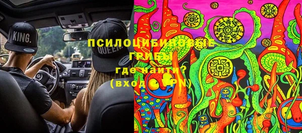 трава Баксан