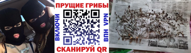Псилоцибиновые грибы мухоморы  Электросталь 